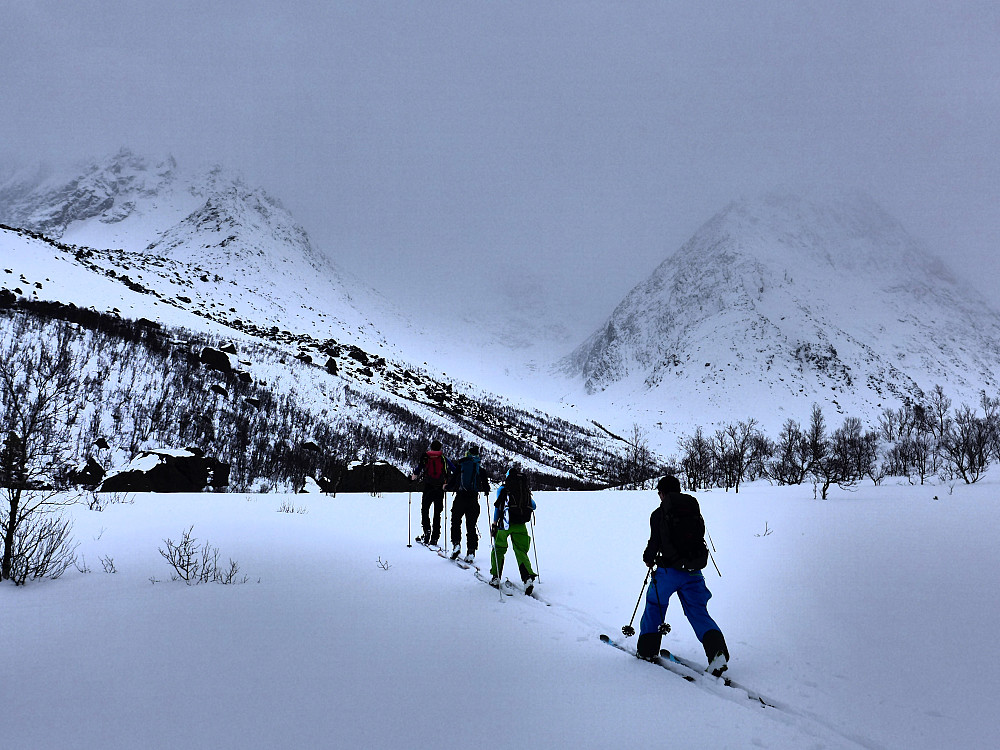 Som ble enda mer grå.....