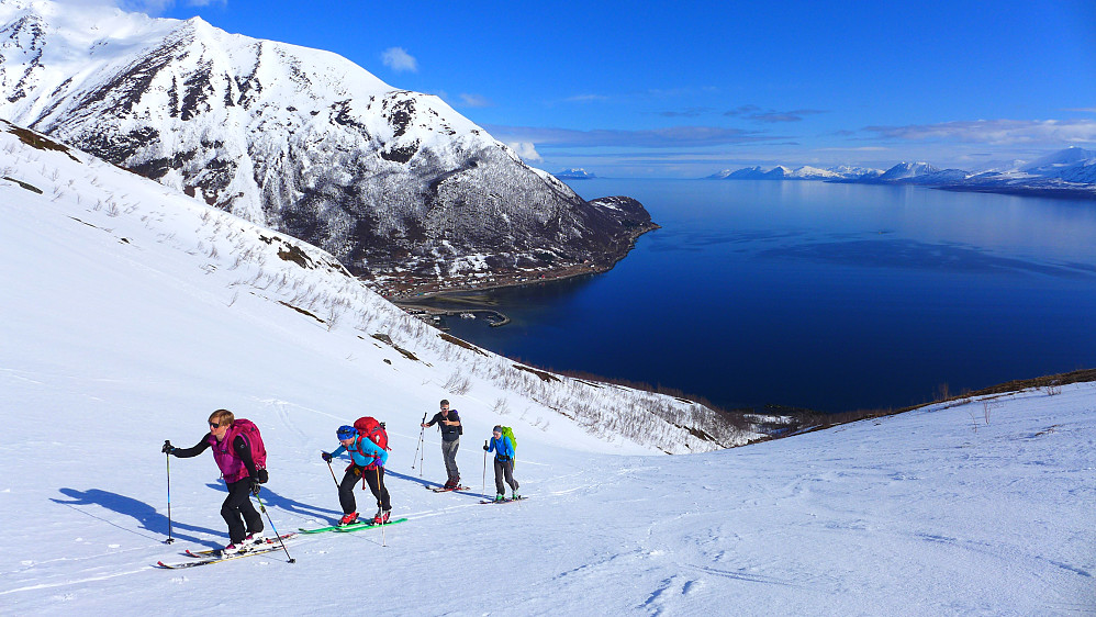 Alison leder gruppen oppover. Ullsfjorden i bakgrunnen. 
