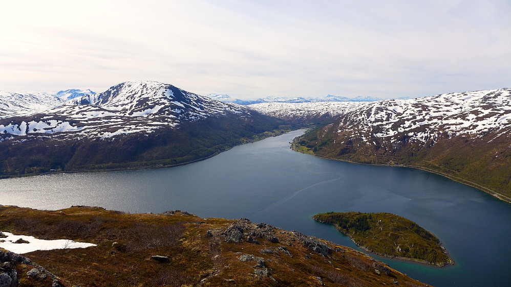 Utsikt over Kattfjorden