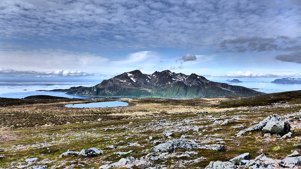 Vengsøya i nord
