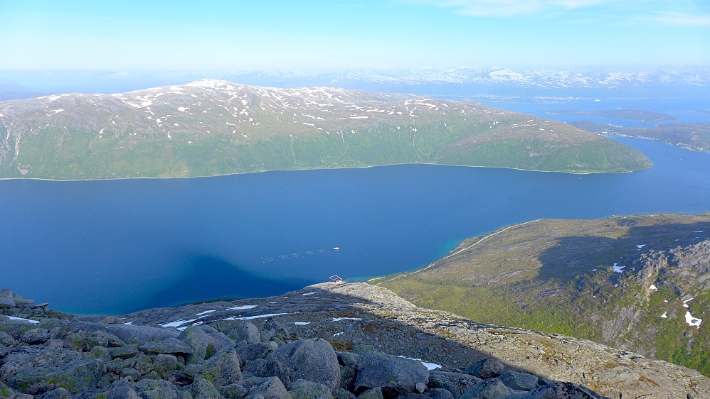 Blåmannskygge i Kaldfjorden