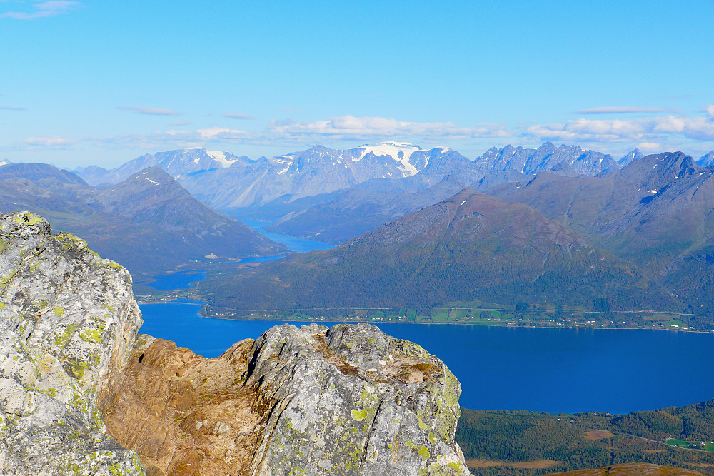 Lyngsalpene