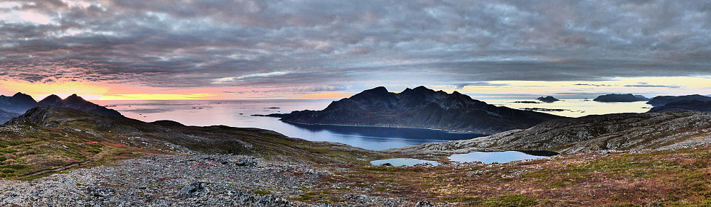 Vengsøya