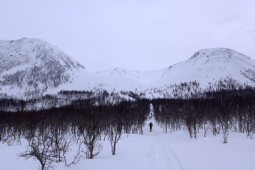 På vei mot Bjørndalen