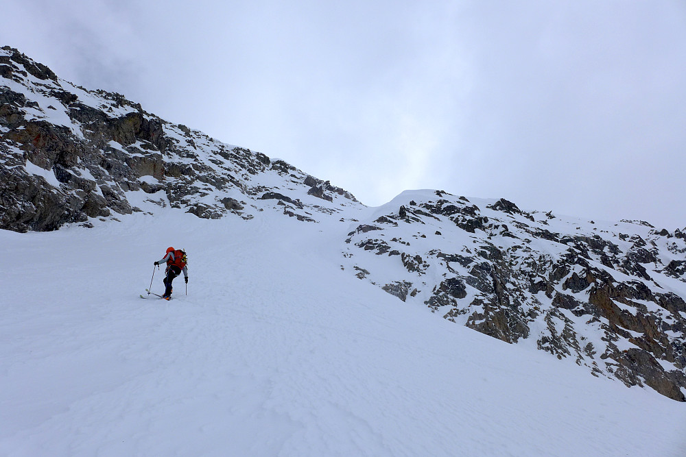 Renna på nordsida av Aiguille Crochues