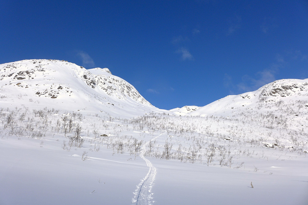 Starten på turen ved inngangen til Sjurdalen