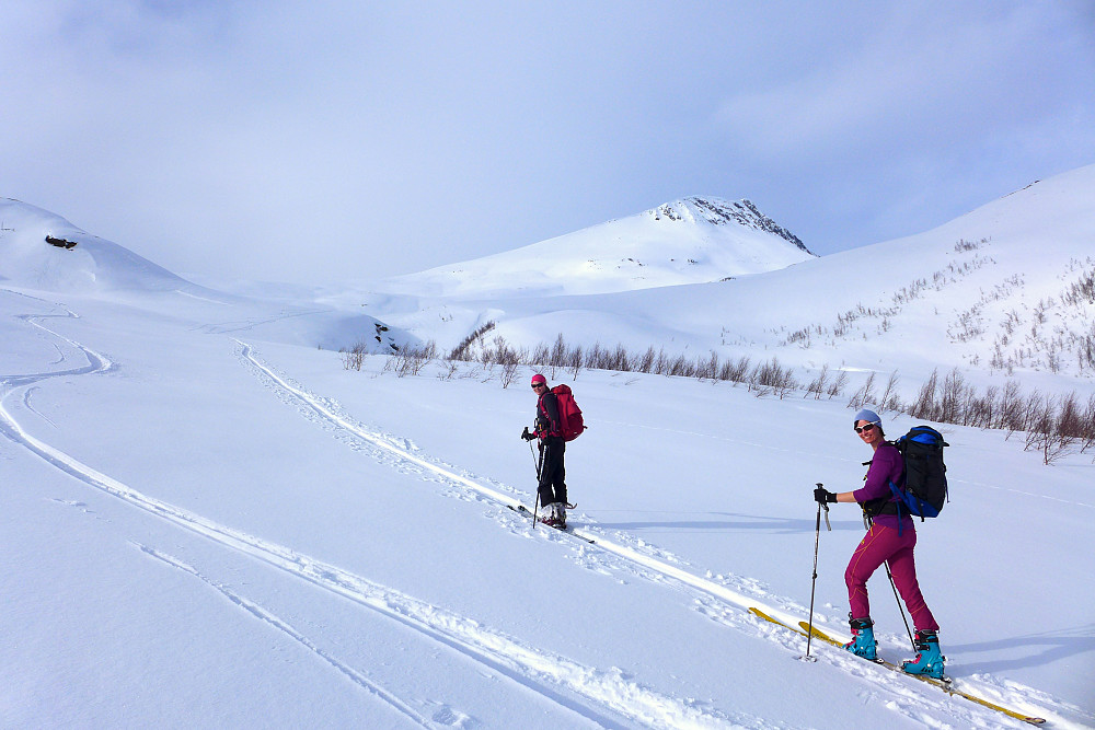 Over tregrensen