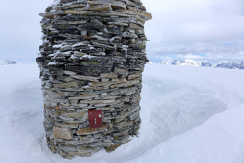 Den store toppvarden