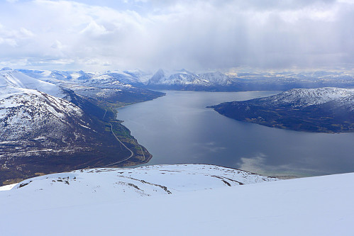 Renbyger på vei nordover