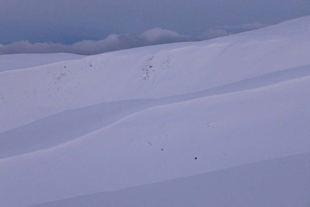 Skavler har dannet seg på sørsiden av fjellet etter flere dager med kraftig vind fra nord
