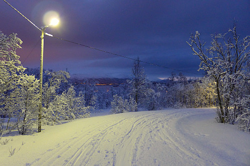 Stille og koselig i lysløypa mellom skistadion og fjellet