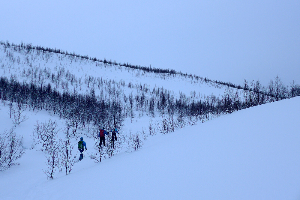 Lette ski-gjeng tar over brøytejobben, takk :)
