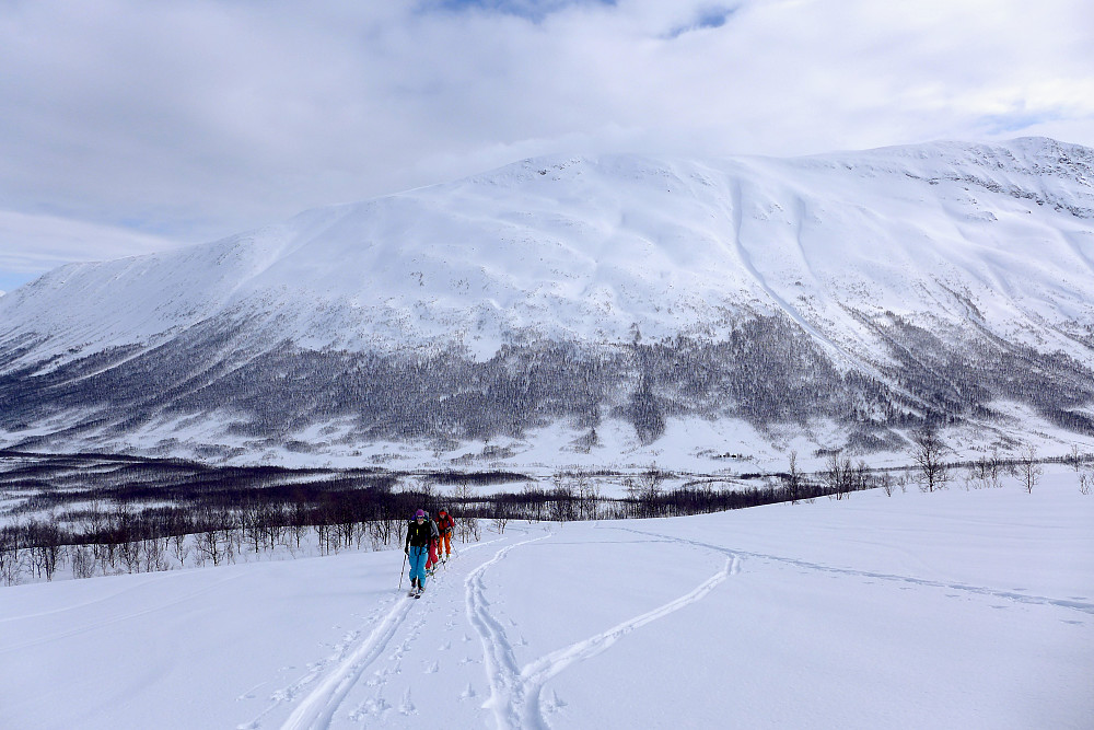 Fin snø i østsiden
