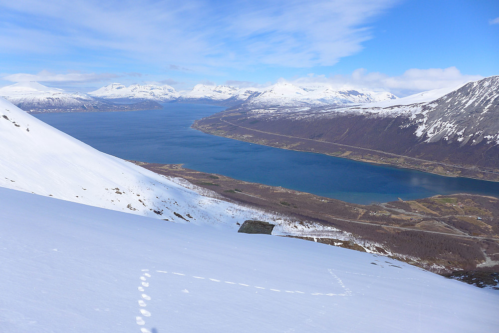 Koselig med å gå uten ski også....