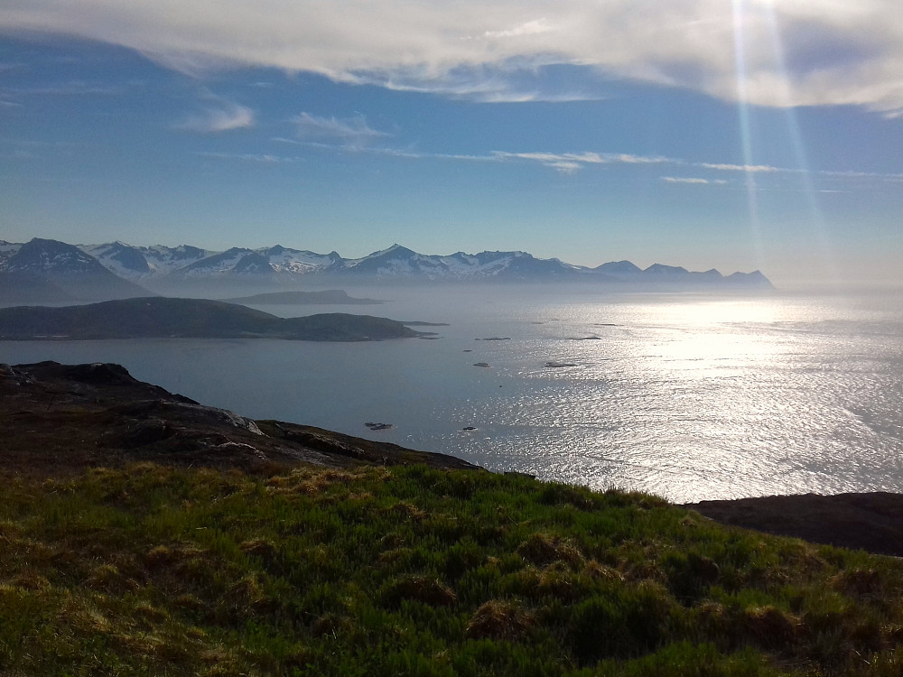 Mot Senja