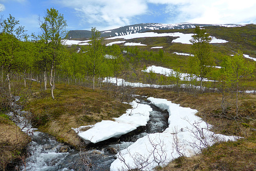 Mye vann i elvene