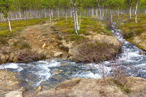 Gode forhold for de som liker å ta en gigantisk hopp over elver