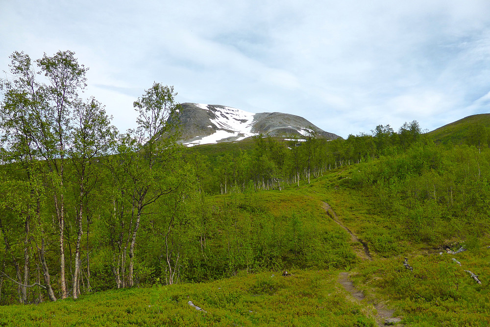 Ser lovende ut snømessig :) 