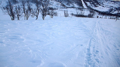 Kartongsnø