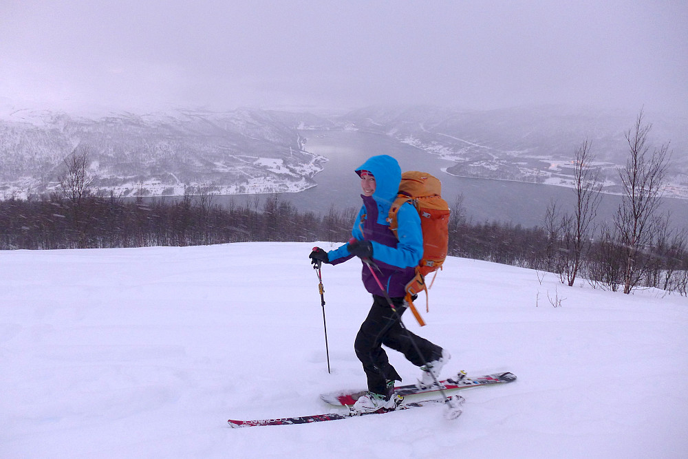 Ble truffet av en snøbyge da vi kom over tregrensen