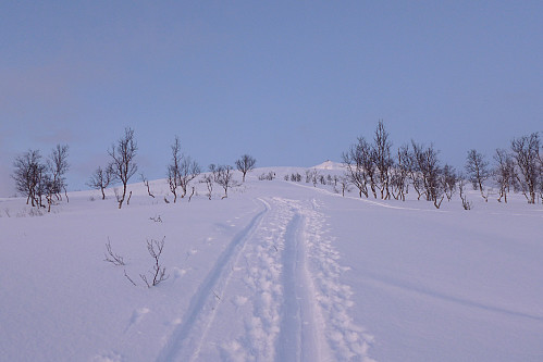 Kvaløyspor