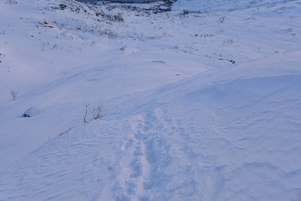 Myk snø på Kvaløya?!!