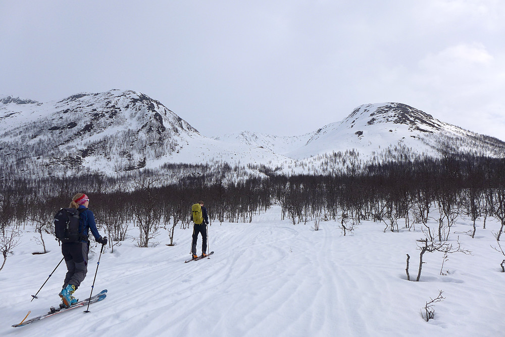 Kine og Leiv på vei inn mot Bjørndalen