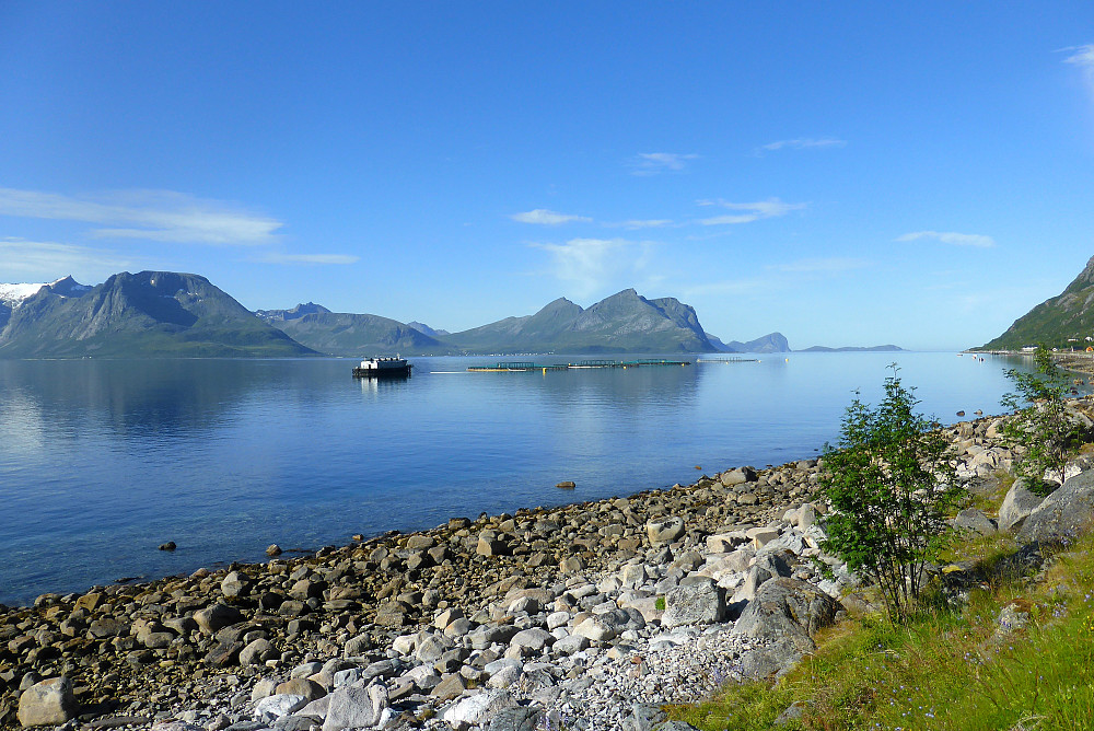 Vakker utsikt mot Tromvik fra Vengsøya