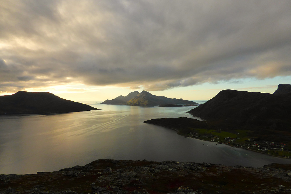 Vengsøya