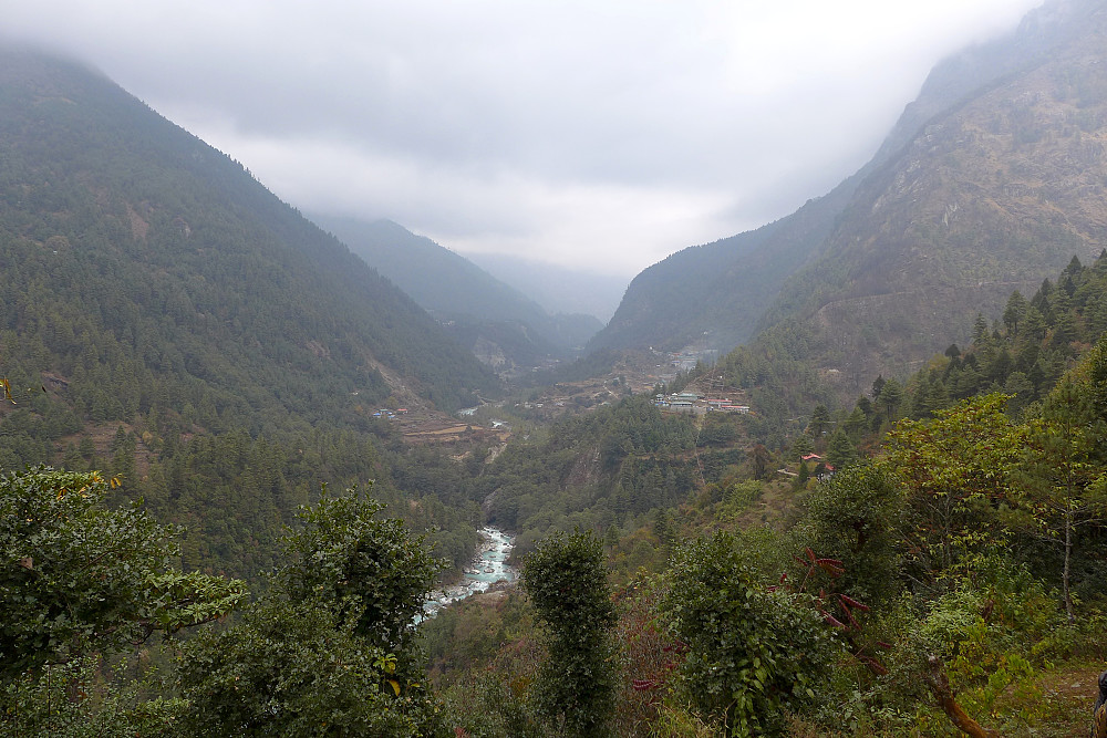 Lots of forests in the Dudh Kosi valley