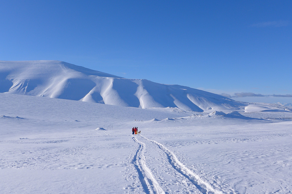 Nordenskioldfjellet i bakgrunn