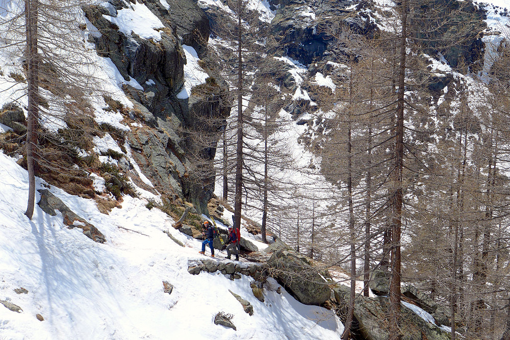 Simon and Rob on the forest path below the Vittorio Emanuelle hut