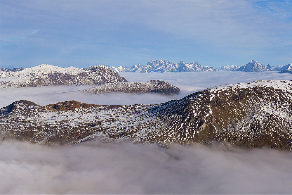 Lyngsalpene