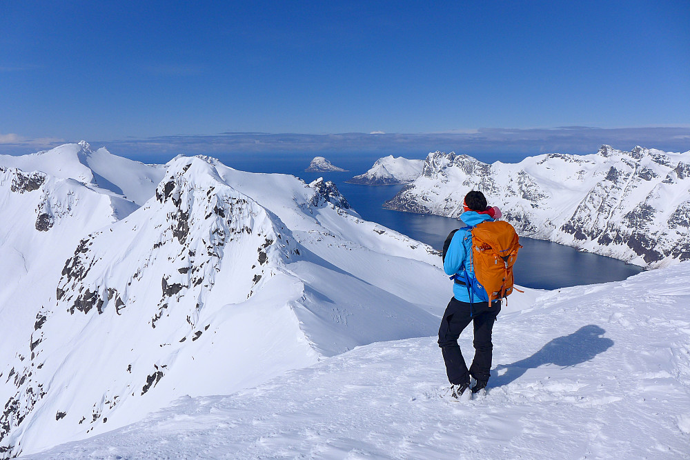 Innika nyter utsikten over Ersfjorden