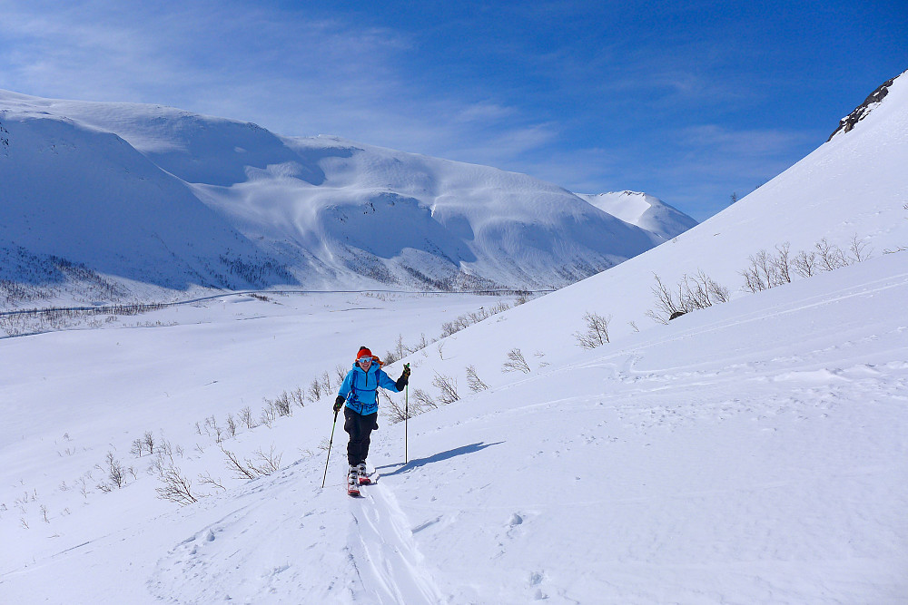 Nesten null skog å krige oss gjennom :-)