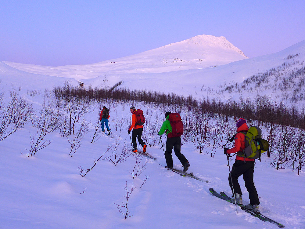 Opp mot Salen