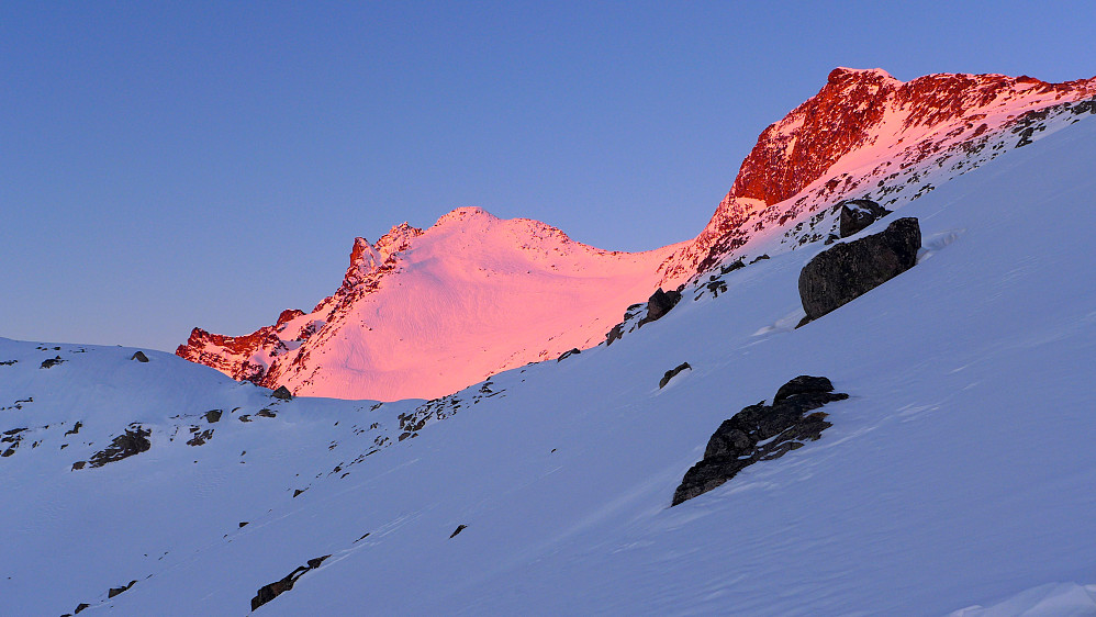 Rosa lys på fjellet