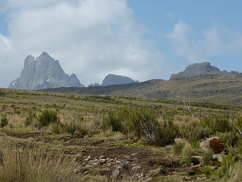 Mount Kenya from the Sirimon route trail shortly after leaving Old Moses Camp at 3300m