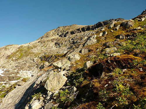 The way up I took to the ridge leading to the summit. Pick any way you like. Freedom to choose. It's a great thing.