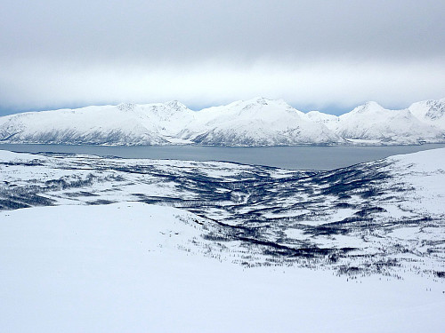 View towards Ringvassøya