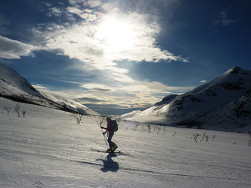 Aline with magnificent afternoon light behind her. 