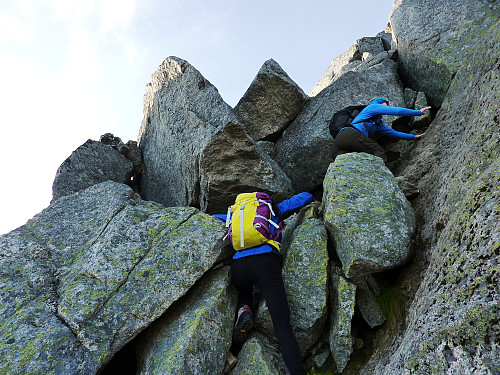 Christina and Siv getting stuck into the scrambling