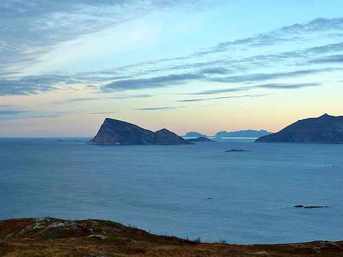 Håja