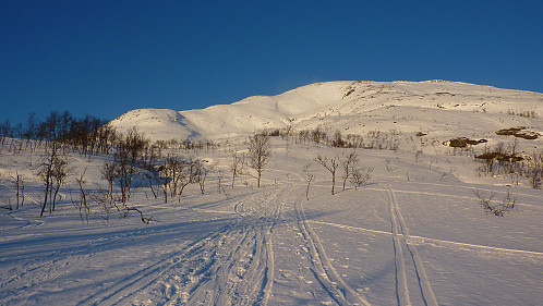 Buren straight ahead