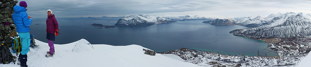 Hav- og fjellutsikt #1