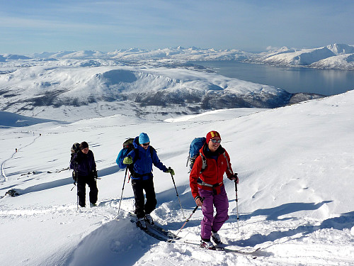 Siste bakken før toppen. Snøen er litt vindpåvirket - but who cares? 