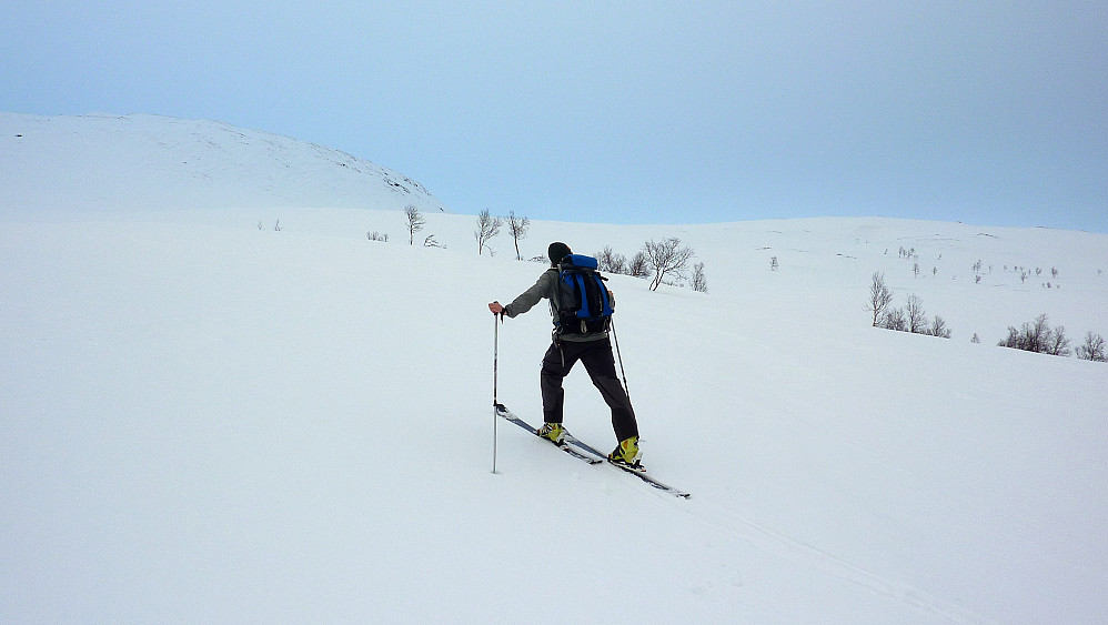 On the way up towards Grønfjellet