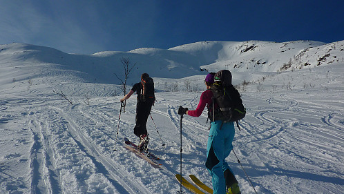 Vanlig rute opp mot Skålhammaren