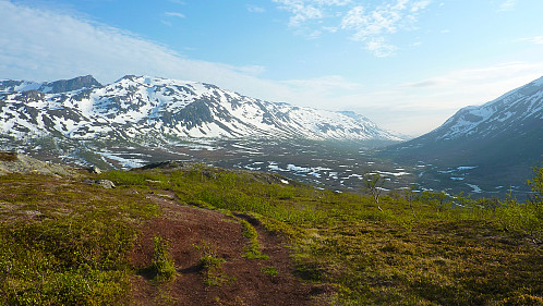 Utsikten over Kattfjord