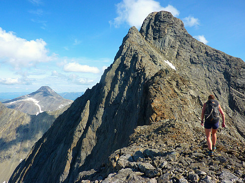 Fantastisk fjellrygg!
